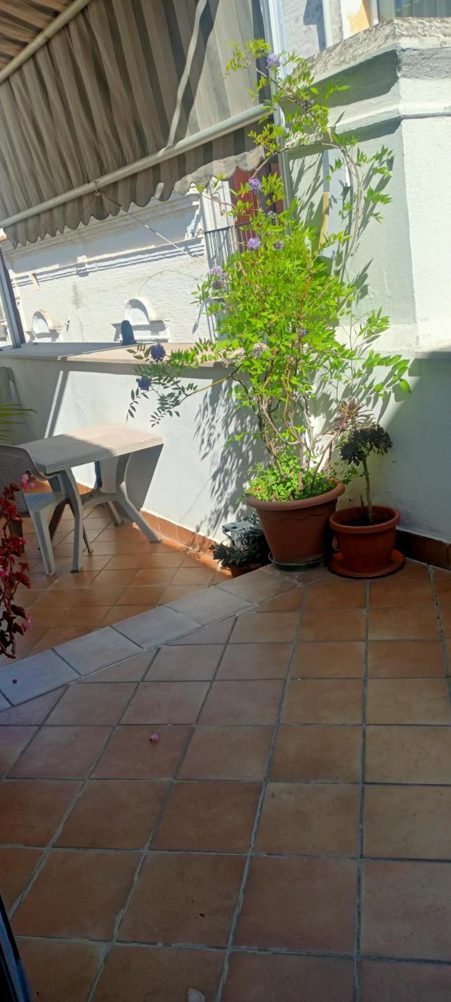 Il Nuovo Bed & Breakfast San Severo Oda fotoğraf